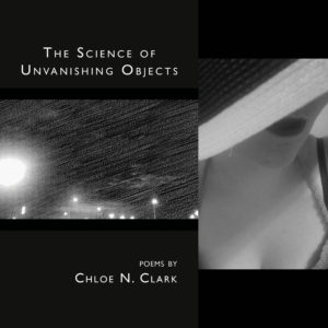 The Science of Unvanishing Objects by Chloe N. Clark