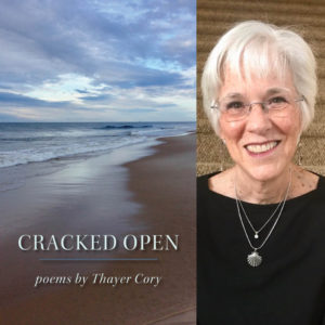 CRACKED OPEN by Thayer Cory
