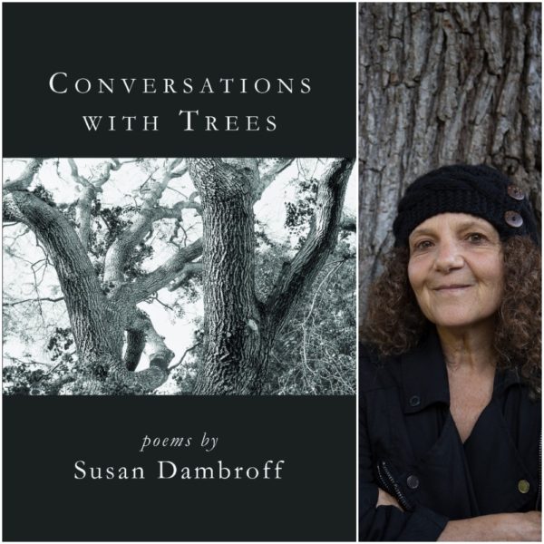 Conversations with Trees by Susan Dambroff