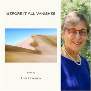 Before It All Vanishes by Lois Levinson