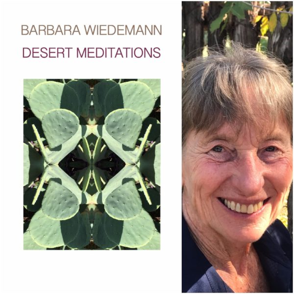 DESERT MEDITATIONS by Barbara Wiedemann