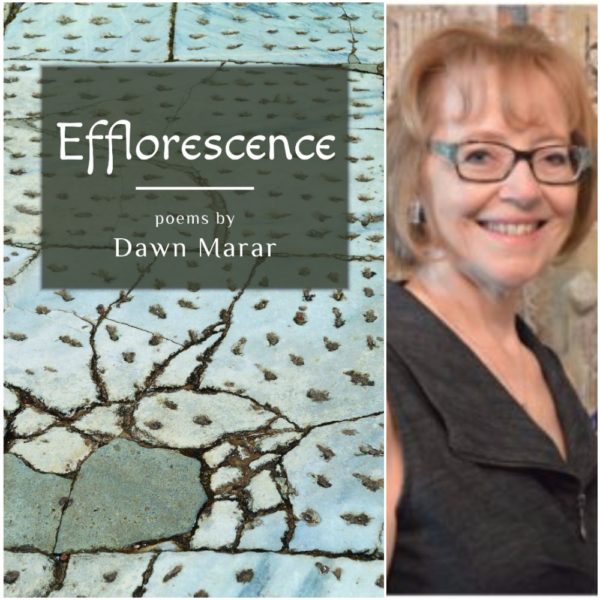 Efflorescence by Dawn Marar
