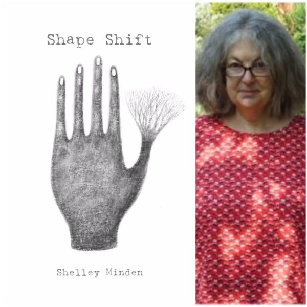Shape Shift by Shelley Minden