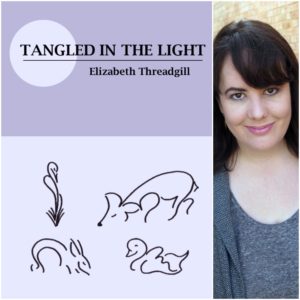 Tangled in the Light by Elizabeth Threadgill
