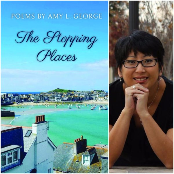 The Stopping Places by Amy L. George