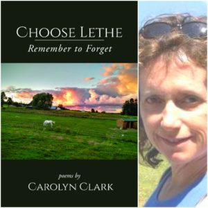 Choose Lethe: Remember to Forget by Carolyn Clark