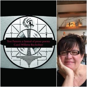 Test Pattern a Fantod of Prose Poems by Carol Willette Bachofner