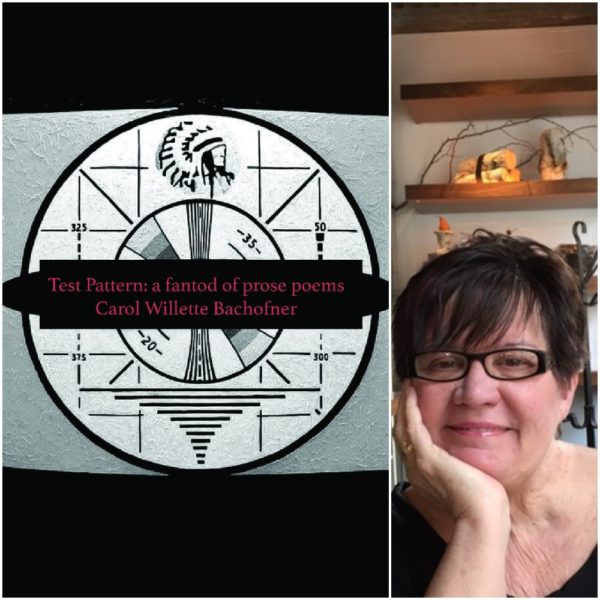 Test Pattern a Fantod of Prose Poems by Carol Willette Bachofner