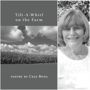 Tilt-A-Whirl on the Farm by Cele Bona