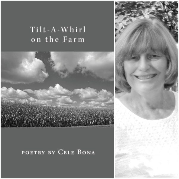 Tilt-A-Whirl on the Farm by Cele Bona