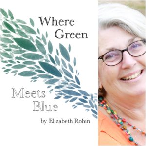Where Green Meets Blue by Elizabeth Robin