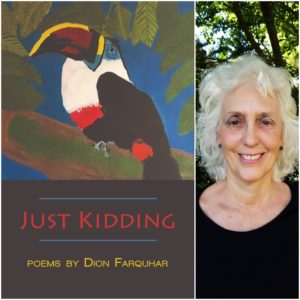 Just Kidding by Dion Farquhar