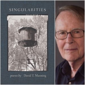 Singularities by David T. Manning