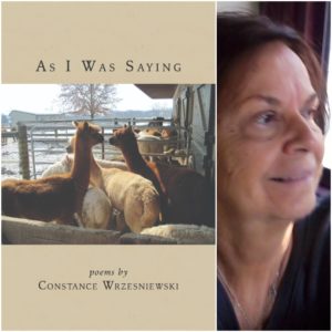 As I Was Saying by 	Constance Wrzesniewski