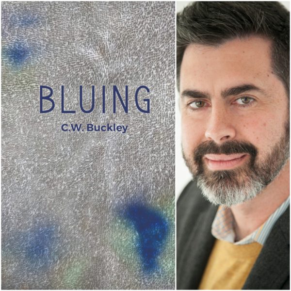 Bluing by Christopher Buckley