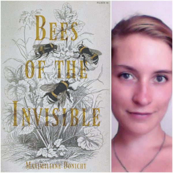 Bees of the Invisible by Maximiliane Donicht