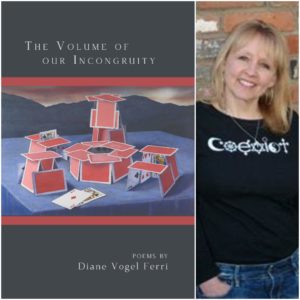 The Volume of our Incongruity by Diane Vogel Ferri