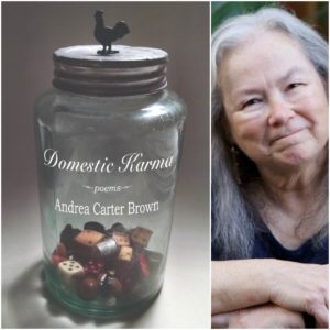 Domestic Karma by Andrea Carter Brown