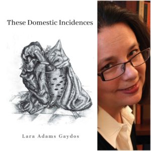 These Domestic Incidences by Lara Adams Gaydos