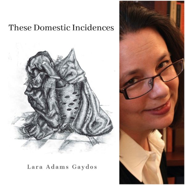 These Domestic Incidences by Lara Adams Gaydos
