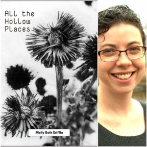 All the Hollow Places by Molly Beth Griffin