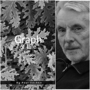 Graph of Life by Paul Ilechko