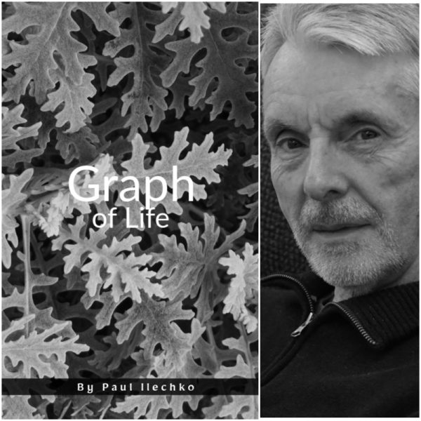 Graph of Life by Paul Ilechko