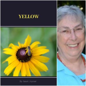 Yellow by Janet Joyner