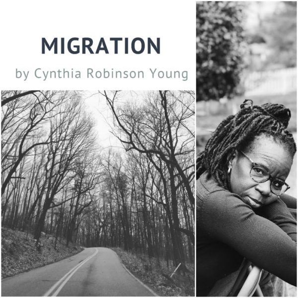 Migration by Cynthia Robinson Young