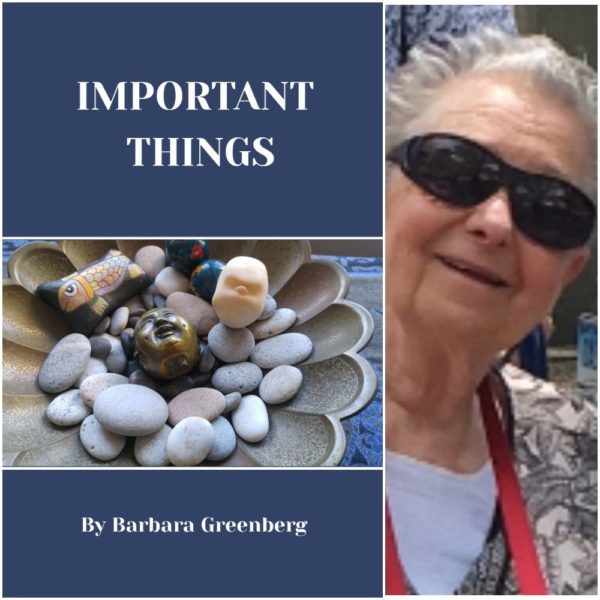 IMPORTANT THINGS by Barbara (Levenson) Greenberg
