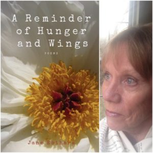 A Reminder of Hunger and Wings by Jane Ebihara