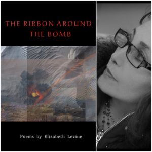 The Ribbon Around the Bomb by Elizabeth Levine