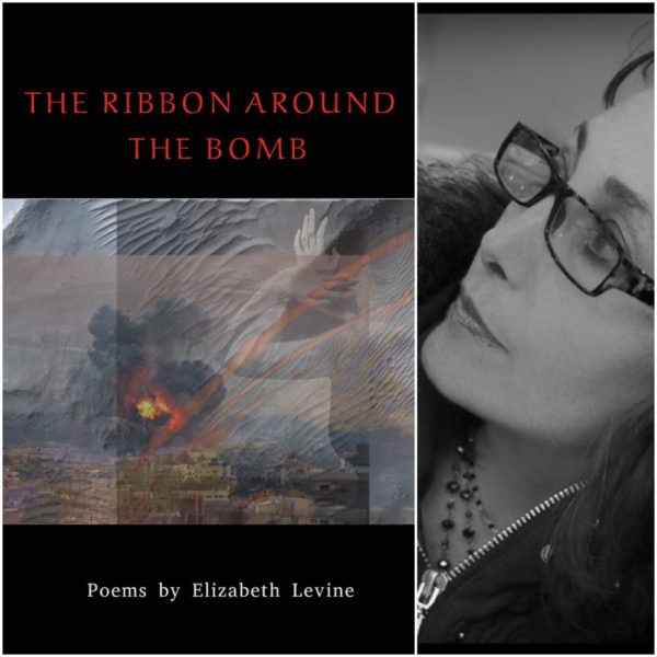 The Ribbon Around the Bomb by Elizabeth Levine