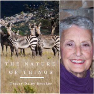 THE NATURE OF THINGS by Tracey Daley Brocker