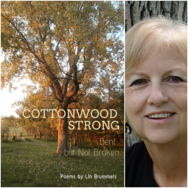 Cottonwood Strong, Bent but Not Broken by Lin Brummels