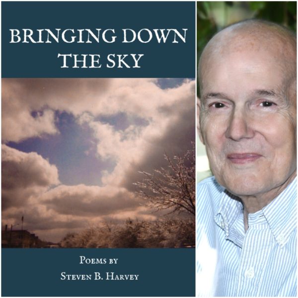 BRINGING DOWN THE SKY by Steven B. Harvey