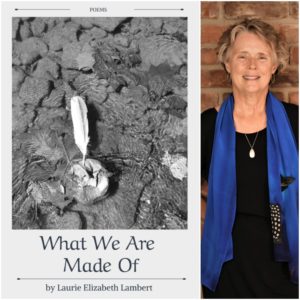 What We Are Made Of by Laurie Elizabeth Lambert