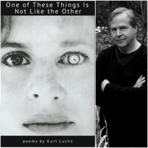 One of These Things Is Not Like the Other by Kurt Luchs