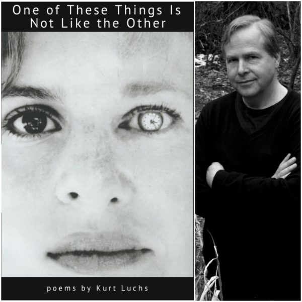 One of These Things Is Not Like the Other by Kurt Luchs