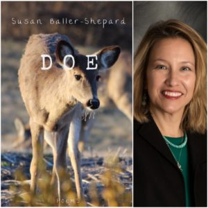 Doe by Susan Baller-Shepard