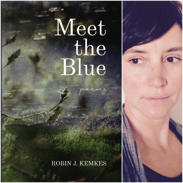 Meet the Blue by Robin J. Kemkes