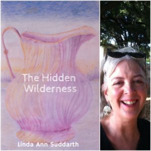 The Hidden Wilderness by Linda Ann Suddarth
