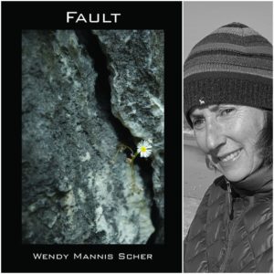 Fault by Wendy Mannis Scher