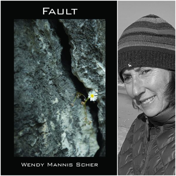 Fault by Wendy Mannis Scher