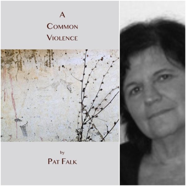 A COMMON VIOLENCE by Pat Falk