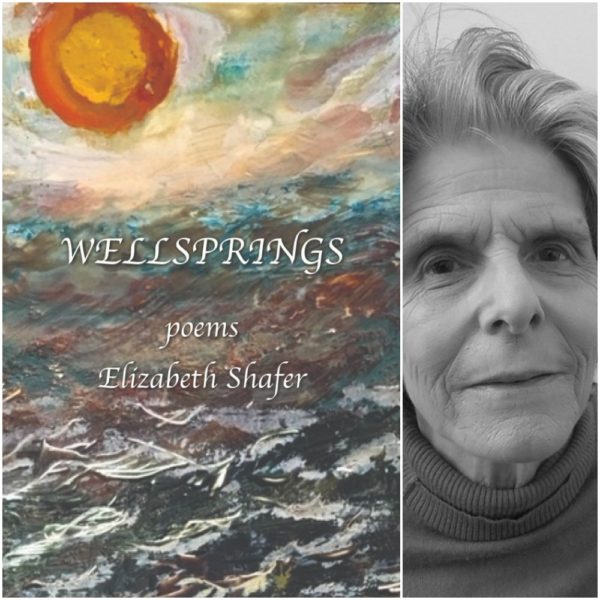 WELLSPRINGS by Elizabeth Shafer