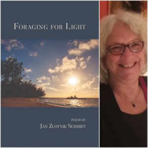 Foraging for Light by Jan Zlotnik Schmidt