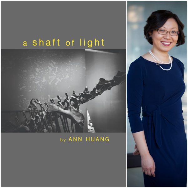a shaft of light by ANN HUANG
