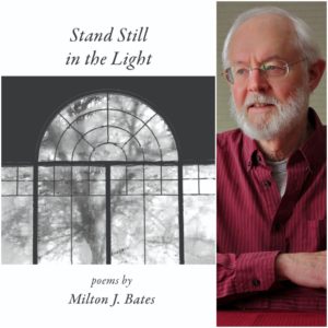 Stand Still in the Light by Milton J. Bates
