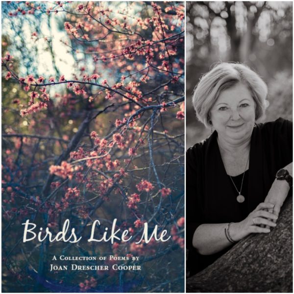 Birds Like Me by Joan Drescher Cooper